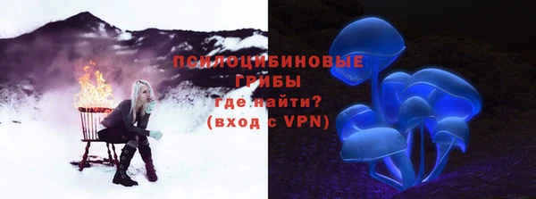 мяу мяу мука Магас